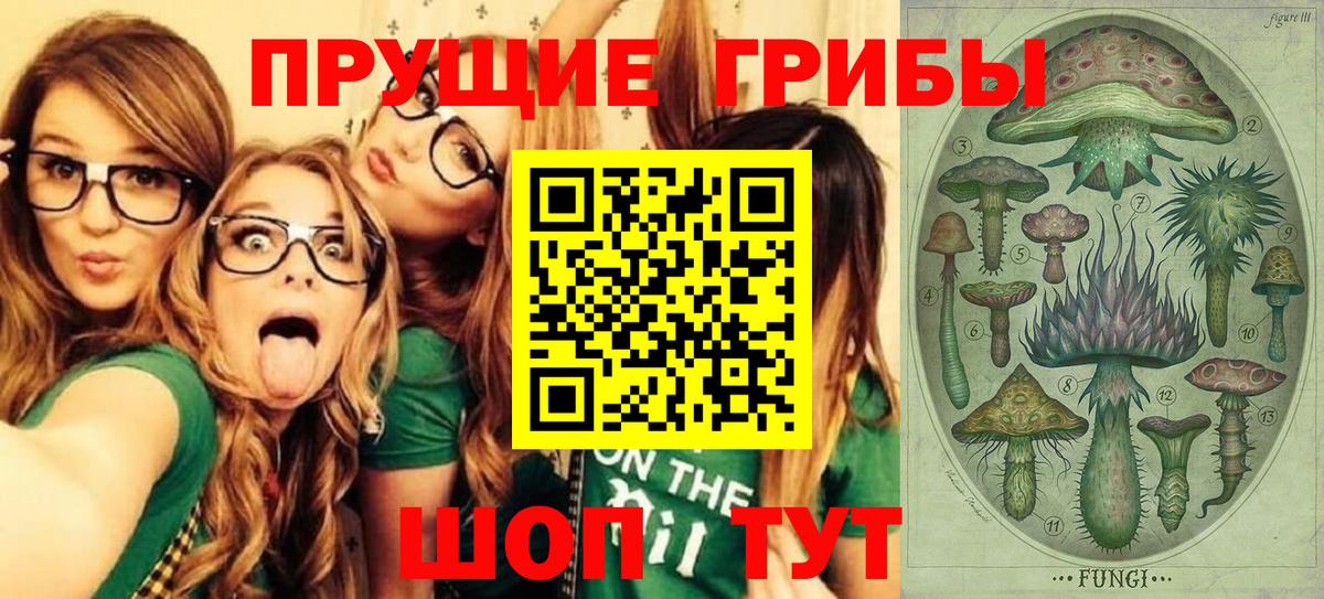 Псилоцибиновые грибы Magic Shrooms Ишимбай