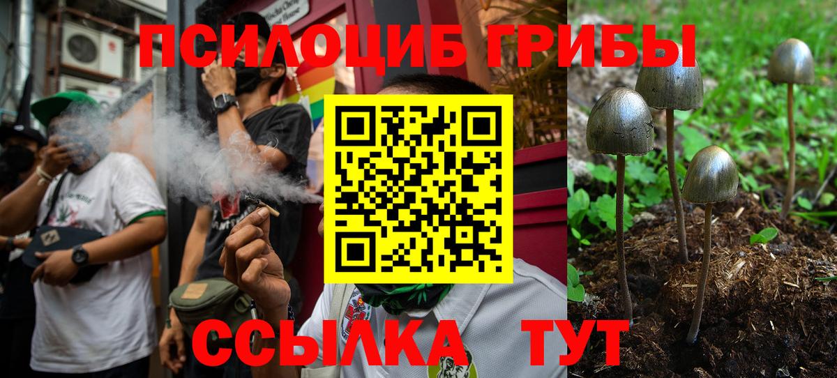 где купить наркоту  Псилоцибиновые грибы Magic Shrooms  Ишимбай  Вход с VPN  Галлюциногенные грибы Magic Shrooms 